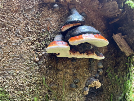 22-05-29 11-40-22 0951